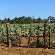 Baja2011 106 : Baja2011